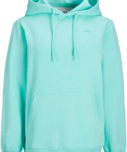 JJXX Jjxx Jxabbie LS Rel Every Brush Hood Noos Sudadera con Capucha Mujer