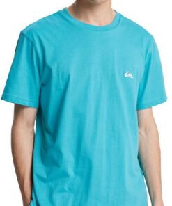 Quiksilver Salt Water tee Camiseta Hombre (Pack de 1)