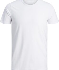 JACK & JONES Men's Jjeorganic Basic tee SS O-Neck Noos T-Shirt