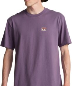 BILLABONG Icon Wave SS Camiseta Hombre (Pack de 1)