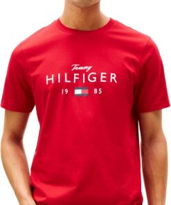 Tommy Hilfiger Brand Love Big Hilfiger tee Mw0mw41455 Camiseta S/S Hombre (Pack de 1)