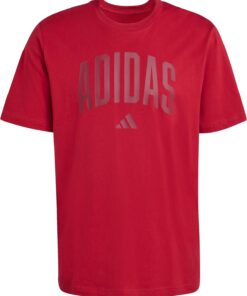 adidas Collegiate Lineage Graphic T-Shirt Camiseta gráfica (Manga Corta) Hombre (Pack de 1)