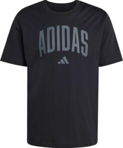 adidas Collegiate Lineage Graphic T-Shirt Camiseta gráfica (Manga Corta) Hombre (Pack de 1)